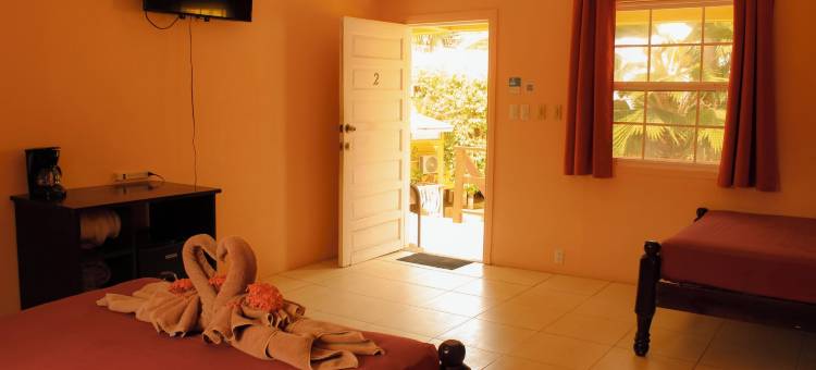 热带天堂酒店(Tropical Paradise)图片