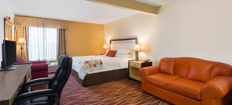 阿伦敦-弗格斯维尔浩枫套房酒店(Hawthorn Suites by Wyndham Allentown-Fogelsville)图片