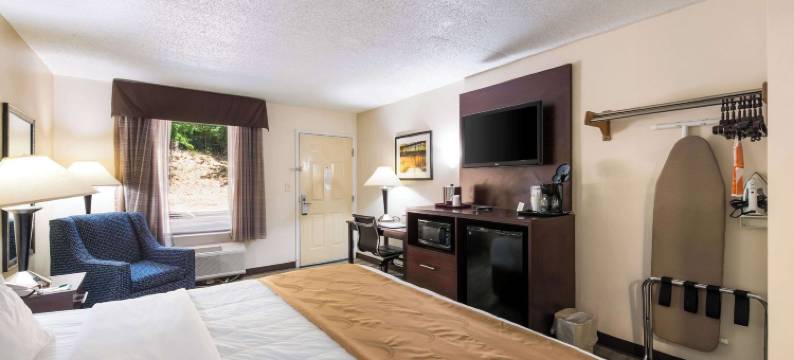 罗金厄姆凯艺套房酒店(Quality Inn & Suites Rockingham)图片