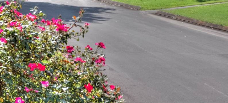 高地庄园宾馆(Highland Manor Inn)图片