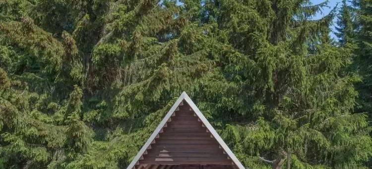 勿忘我之家酒店(Vergissmeinnicht)图片