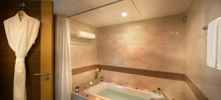 雅阁普度切里酒店(Accord Puducherry)图片