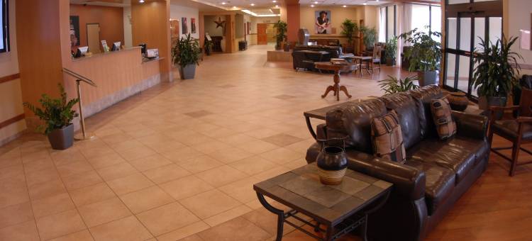 温德姆花园酒店-奥斯汀(Wyndham Garden Austin)图片