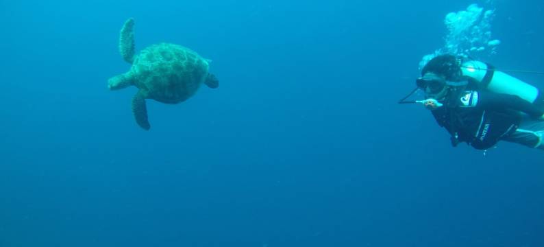 西海岸沙滩之家(West Coast Beach House)图片