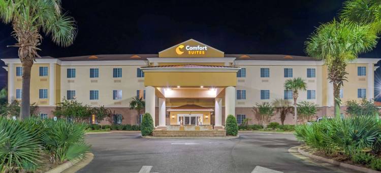 舒适套房酒店(Comfort Suites)图片