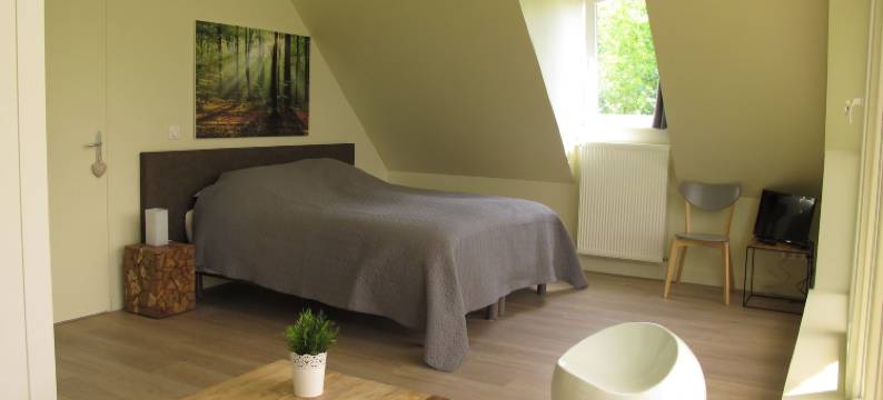 拉盖隆迪酒店(La Garonde)图片