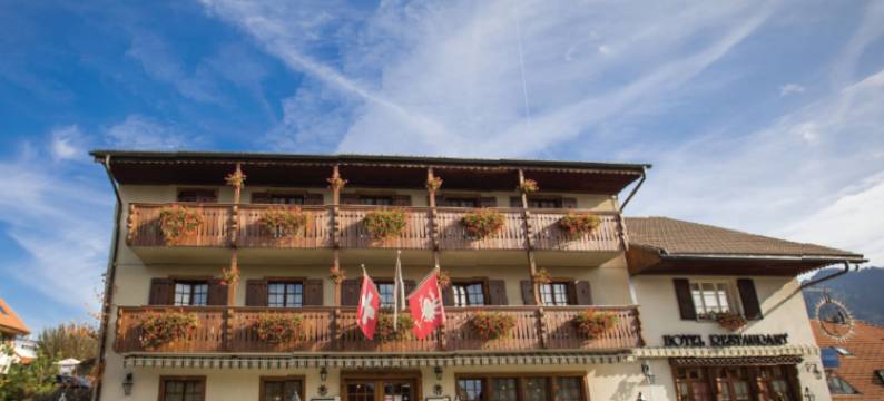 拉戈鲁耶利安餐厅酒店(Hôtel Restaurant le Gruyérien)图片