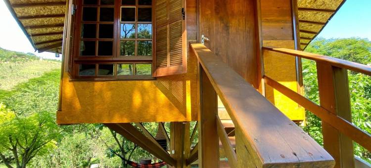 巴比伦的悬挂花园(Jardim Suspenso da Babilônia)图片