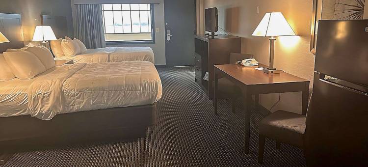 郊区工作室(Suburban Studios)图片