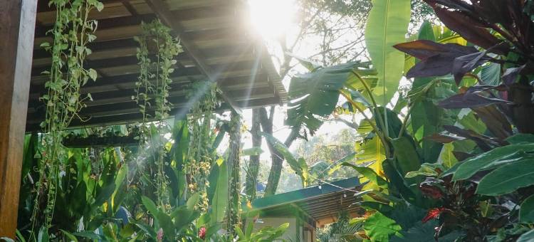 圣特雷莎梦想冲浪之家(Dream Surf House Santa Teresa (Playa Hermosa))图片