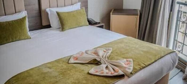 AZ艺术酒店(AZ Hotel des Arts)图片