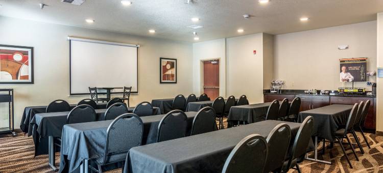 伊利鹅卵石套房酒店(Cobblestone Hotel & Suites - Erie)图片