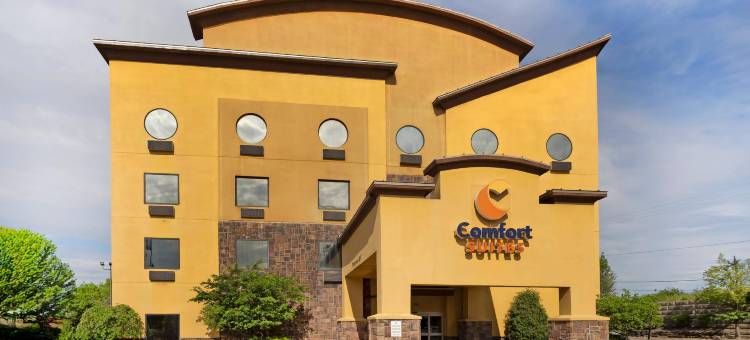 舒适套房酒店(Comfort Suites)图片