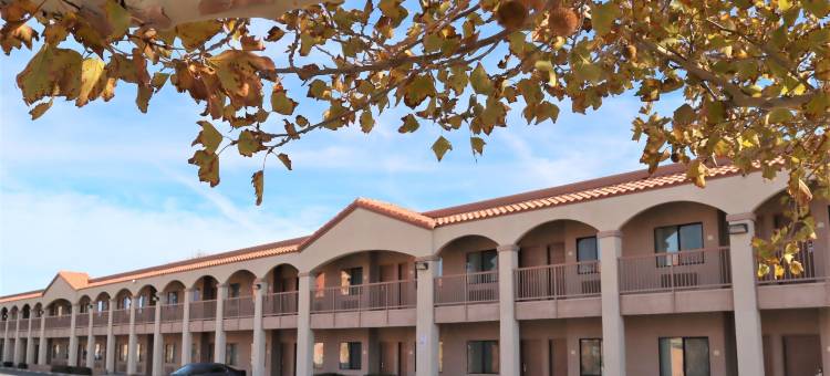 星光旅馆及套房汽车旅馆 29 棕榈树 约书亚树国家公园(Starlight Inn & Suites Motel 29 Palms Joshua Tree National Park)图片