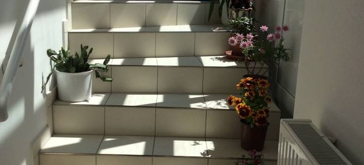 布伦门酒店(Blumenhotel)图片