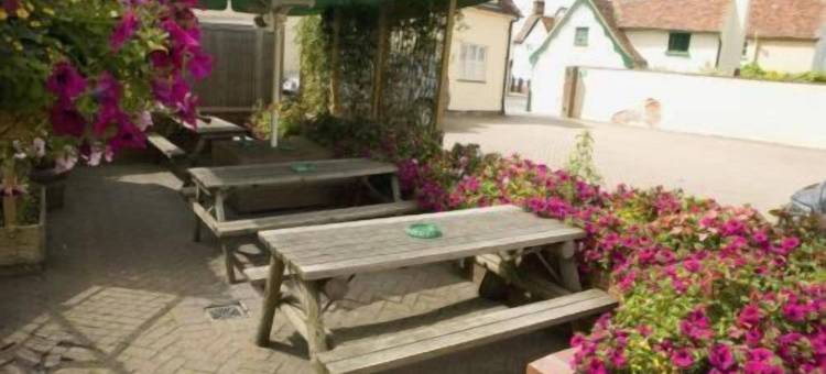 萨克斯泰德天鹅酒店 - 格林国王旅馆(Swan Hotel by Greene King Inns)图片