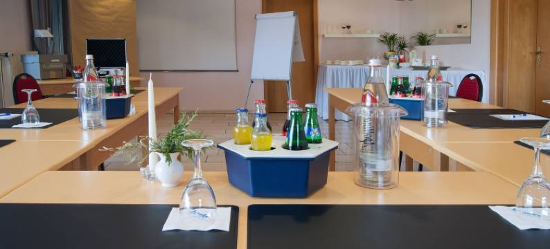 茨维考摩泽尔加尼酒店(Hotel Garni Zwickau-Mosel)图片