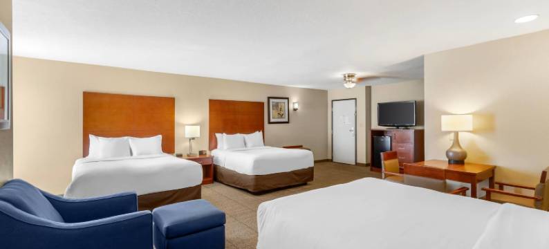 法伦内瓦尔空军基地附近舒适套房酒店(Comfort Inn & Suites Near Fallon Naval Air Station)图片