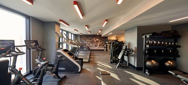 洛伊斯生活酒店-圣路易斯(Live by Loews - St.Louis)图片