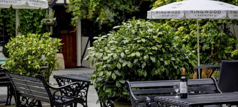 红狮贝斯特韦斯特酒店(Best Western Salisbury Red Lion Hotel)图片