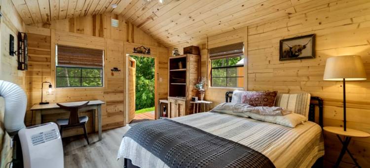 北卡罗莱纳州塔卡西吉河和西尔瓦温馨度假小木屋(Charming Cabin Retreat On Tuckasegee River Near Sylva North Carolina)图片
