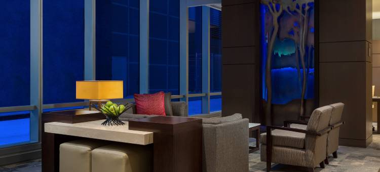 凯悦嘉轩酒店-芝加哥市中心-卢普区(Hyatt Place Chicago/Downtown - the Loop)图片
