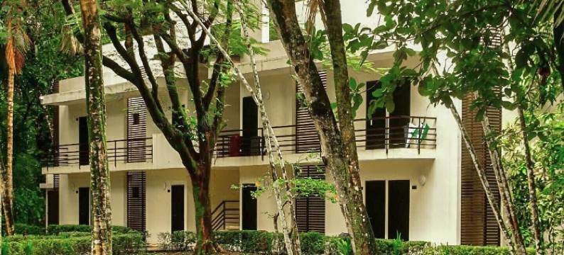 那图屯帕伦克酒店(Hotel Nututun Palenque)图片