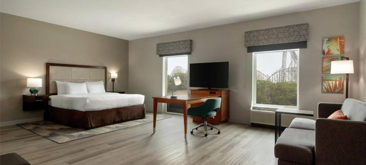 希尔顿坦帕布什花园区欢朋酒店及套房(Hampton Inn and Suites by Hilton Tampa Busch Gardens Area)图片