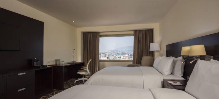 托卢卡希尔顿逸林酒店(DoubleTree by Hilton Toluca)图片