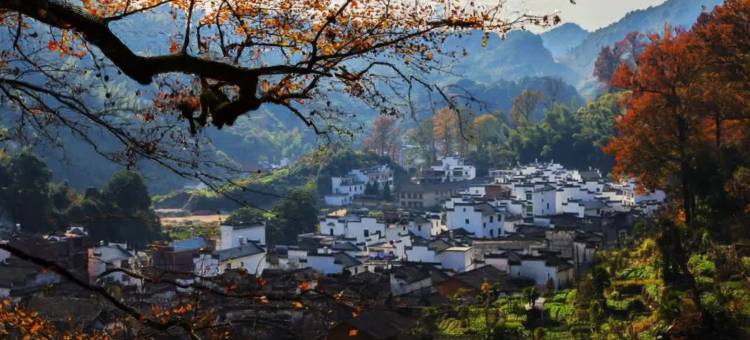 枫悦楼·Villa山景休闲度假美宿(婺源石城红枫叶景区店))图片