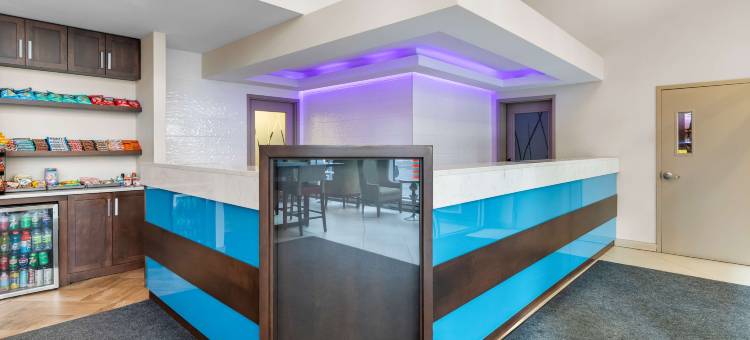 蒙特利尔贝斯特韦斯特优质酒店(Best Western Plus Hotel Montreal)图片