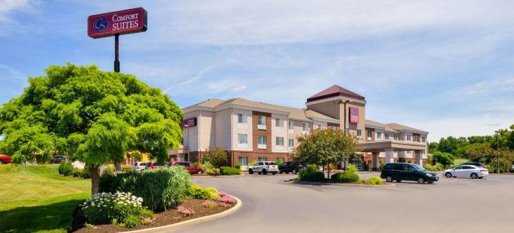 舒适套房酒店(Comfort Suites)图片