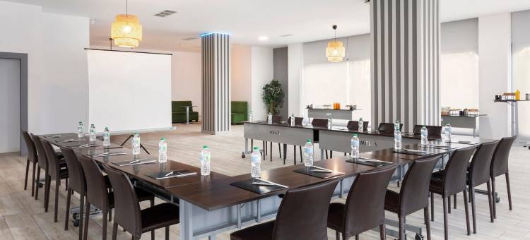 马德里昌马丁美利亚旗下酒店(Hotel Madrid Chamartín Affiliated by Meliá)图片