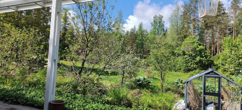 Villa Sinilepo, house no 3 - House in the middle of nature图片