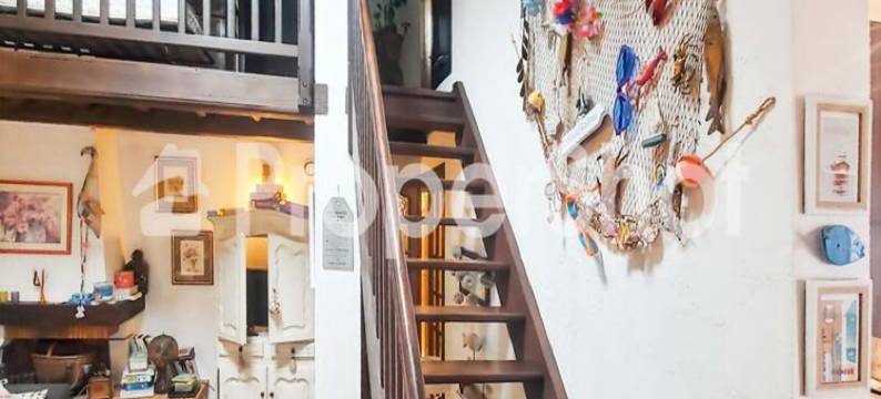 Villa in Camargue near Sandy Beaches图片