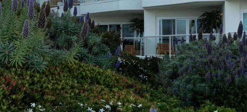 卡萨洛玛海滩酒店(Casa Loma Beach Hotel)图片