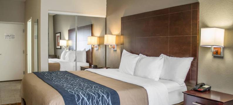 桑杜斯开舒适酒店(Comfort Inn Sandusky)图片