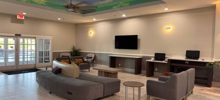 麦卡伦东阿拉莫拉昆塔温德姆套房酒店(La Quinta Inn & Suites by Wyndham Alamo - McAllen East)图片