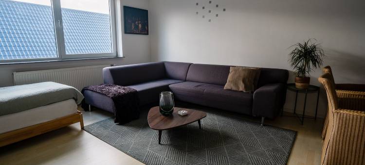 桑色散斯公寓(Apartments Zaanse Schans and Amsterdam)图片