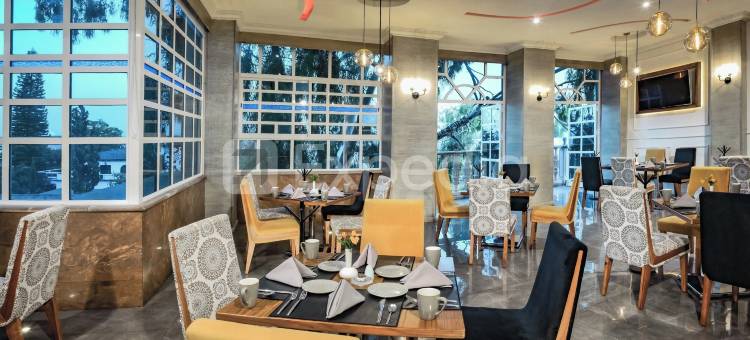 HOTSSON 索利斯酒店及水疗中心(Hotel and Spa Mansion Solis by Hotsson)图片