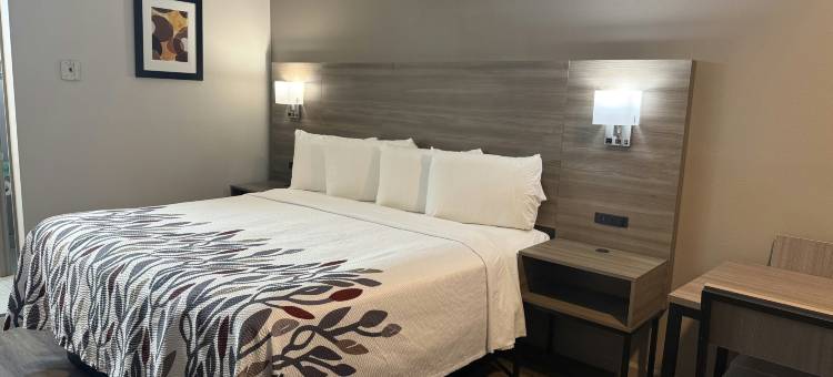 奥兰治堡红屋顶旅馆(Red Roof Inn Orangeburg)图片