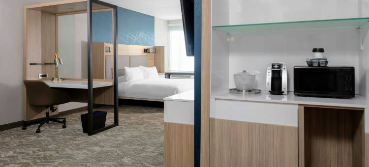 马里奥特杜汉姆市景观SpringHill套房(SpringHill Suites Durham City View)图片