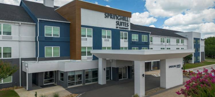 达拉斯北阿林顿万豪SpringHill酒店(SpringHill Suites Dallas Arlington North)图片
