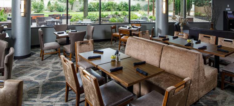 阿普尔顿希尔顿逸林酒店(DoubleTree by Hilton Appleton)图片