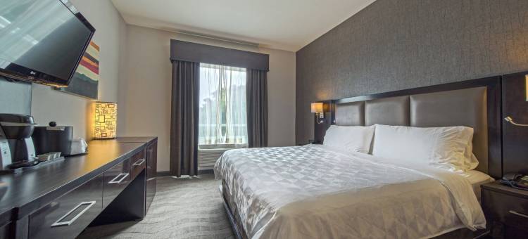 Holiday Inn & Suites 休斯顿西 - 西区高速路公园(Holiday Inn & Suites HOUSTON WEST - WESTWAY PARK by IHG)图片