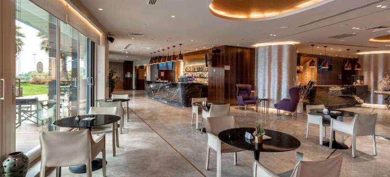 伊斯坦布尔阿塔科丽笙蓝标酒店(Radisson Blu Hotel Istanbul Ottomare)图片