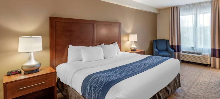 舒适套房酒店维吉尼亚海滩- 诺福克机场(Comfort Inn & Suites Virginia Beach - Norfolk Airport)图片