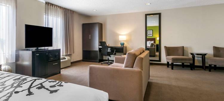 阿伦敦 - 福格尔斯维尔舒眠酒店(Sleep Inn Allentown-Fogelsville)图片