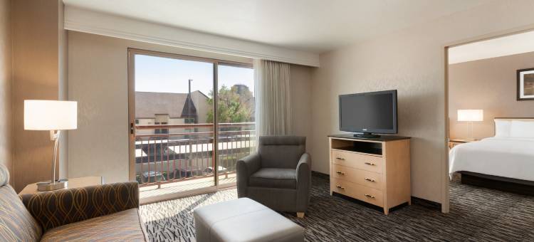 拉斯维加斯会议中心希尔顿安泊套房酒店(Embassy Suites by Hilton Convention Center Las Vegas)图片