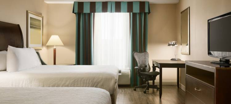 多伦多旺市希希尔顿花园旅馆(Hilton Garden Inn Toronto/Vaughan)图片